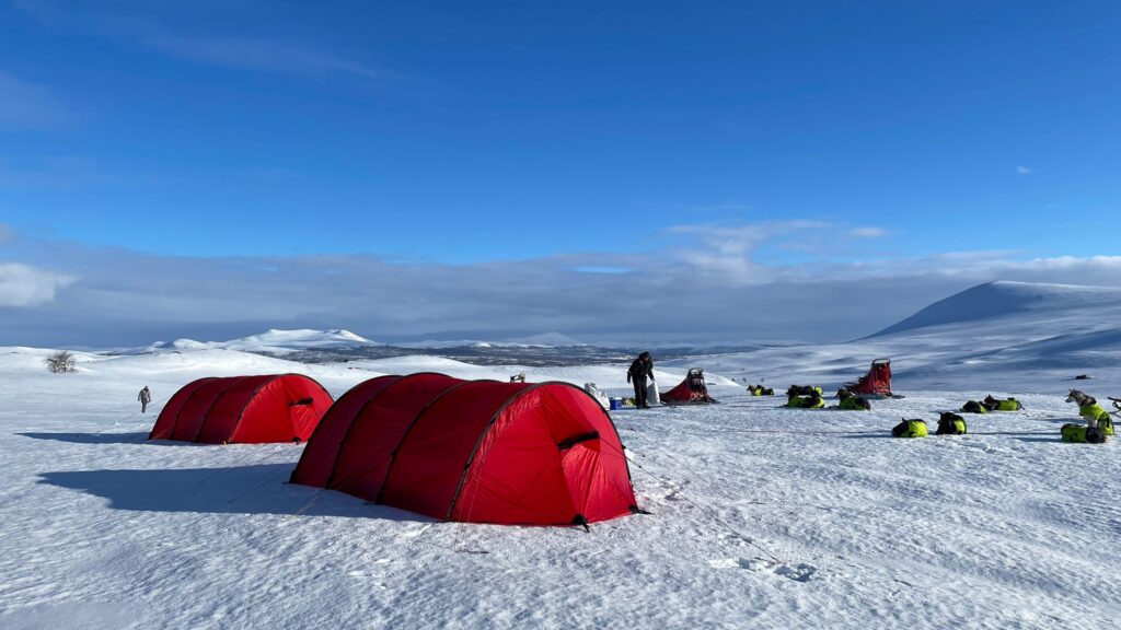 Red tents on an Arctic Expedition with sled dogs