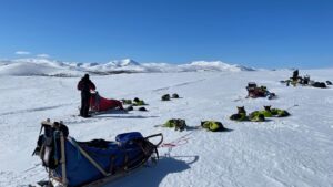 Dog sledding in the Mountains